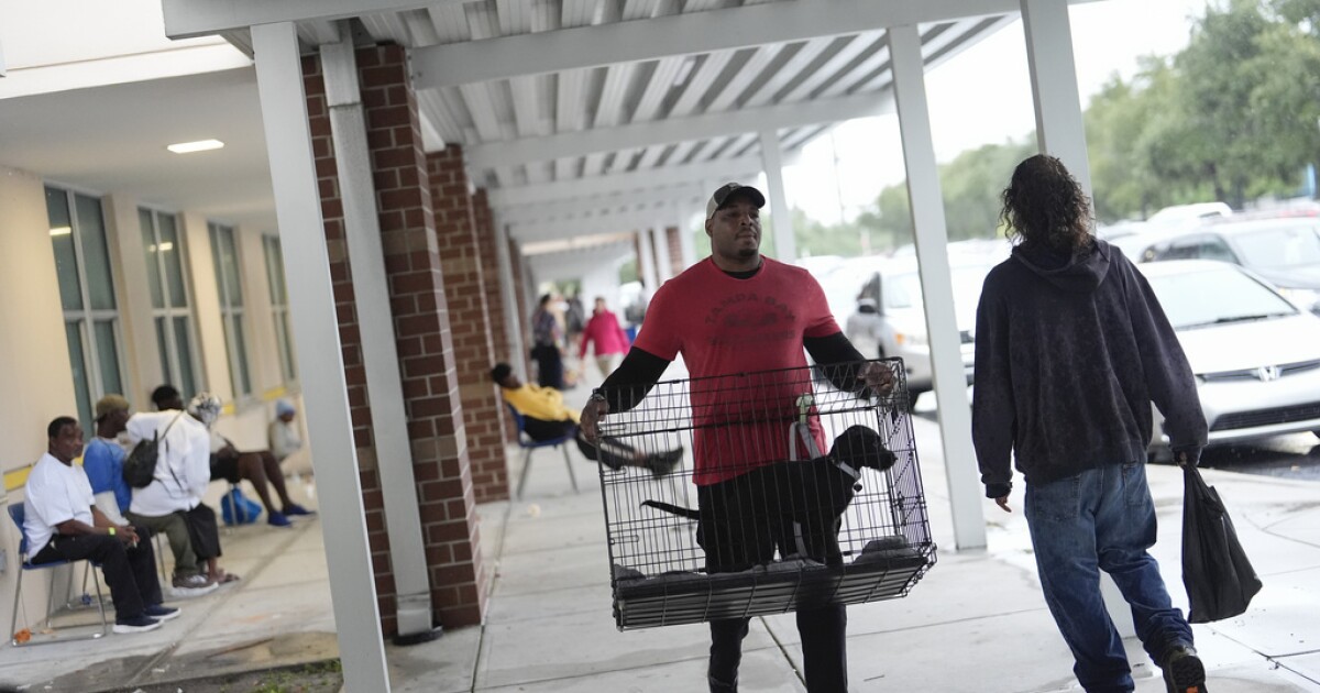 160 Dogs Rescued from Florida Shelter Ahead of Hurricane Milton’s Landfall