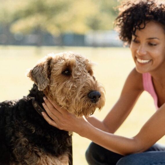 Animalosity Pet Wellness eGuide