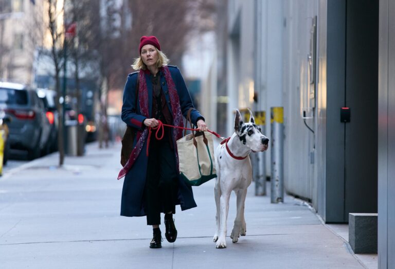 Inherited Dog Transforms Lives, Delivers Immediate Purpose